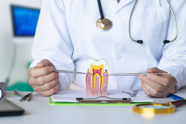 Best Emergency Dentist for Special Needs Patients in Greenbrier, AR